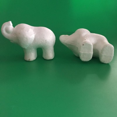 foam animal model